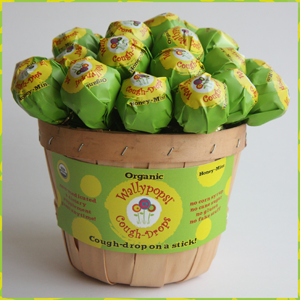 Basket of WallyPops!
